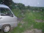 DSC03976.JPG