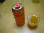 DSC04275.JPG