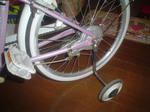 DSC04765.JPG