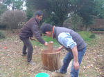 DSC04878.JPG