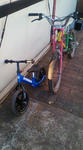 F1000463.JPG