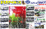 index.gif