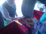 DSC05111.JPG