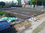 DSC05109.JPG