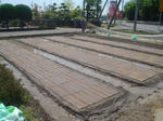 DSC05131.JPG