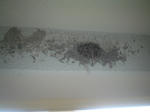 DSC05170.JPG