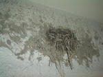 DSC05171.JPG
