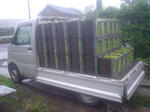DSC05264.JPG