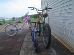 DSC05392.JPG