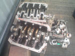 DSC05535.JPG