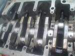 DSC05537.JPG