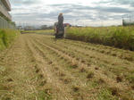 DSC05645.JPG
