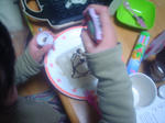 DSC05890.JPG