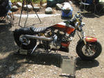 IMG_2217.JPG