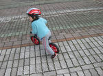 IMG_3397.JPG