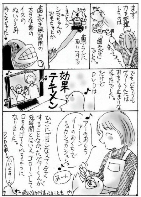 クリックで拡大