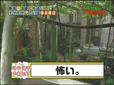 ochi3_023.jpg