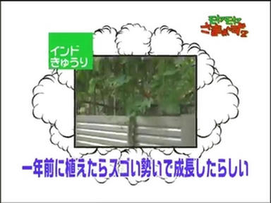 ochi3_025.jpg