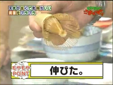 ryo1_023.jpg