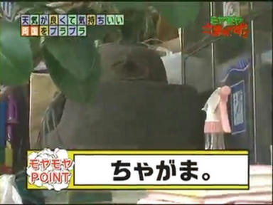 ryo1_026.jpg