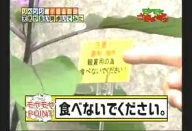 hata1_015.jpg