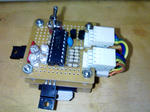 KC367339.jpg