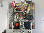 KC367386.JPG