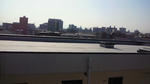 200910311145000.jpg