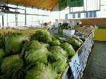 green.gif