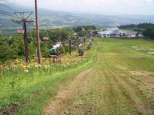 CIMG2714.jpg