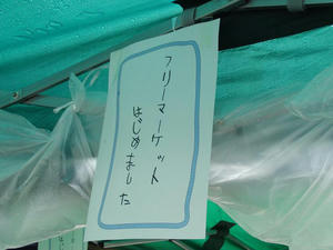 CIMG0202.jpg