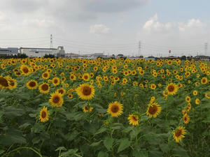 CIMG0514.jpg