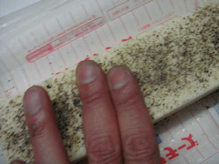 20090124003.jpg