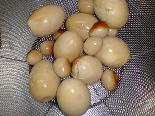 20090412003.jpg