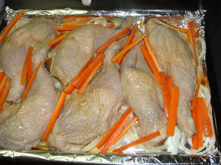 DSC01276.jpg