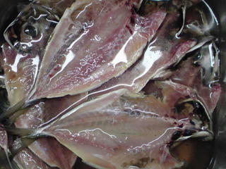 DSC005061.jpg