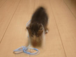 動きが早すぎるって