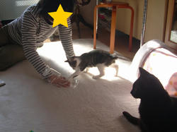 遊んでもらったよ