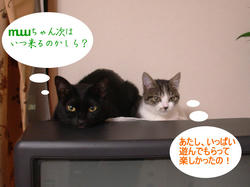 ありがとね。