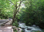 DSCF1149.JPG