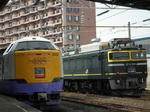 DSCF1230.JPG