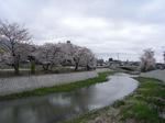 R0026682.JPG