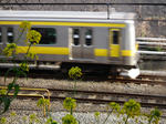 DSCF1722r.JPG