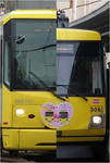 366e2f29.jpg