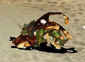 65d9926a.jpg