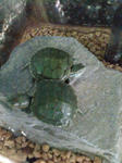 20090508160750.jpg