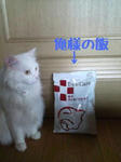 D1000034.jpg