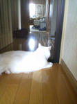 D1000063.jpg