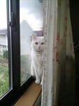 D1000069.jpg