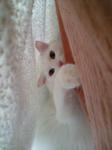 20090123135916.jpg